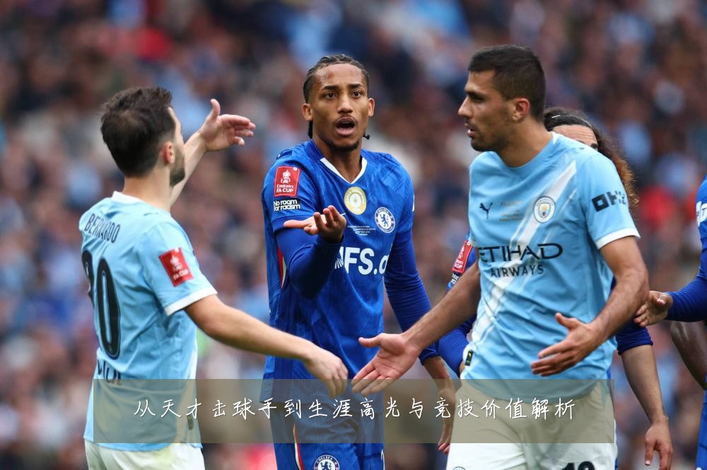 从天才击球手到生涯高光与竞技价值解析